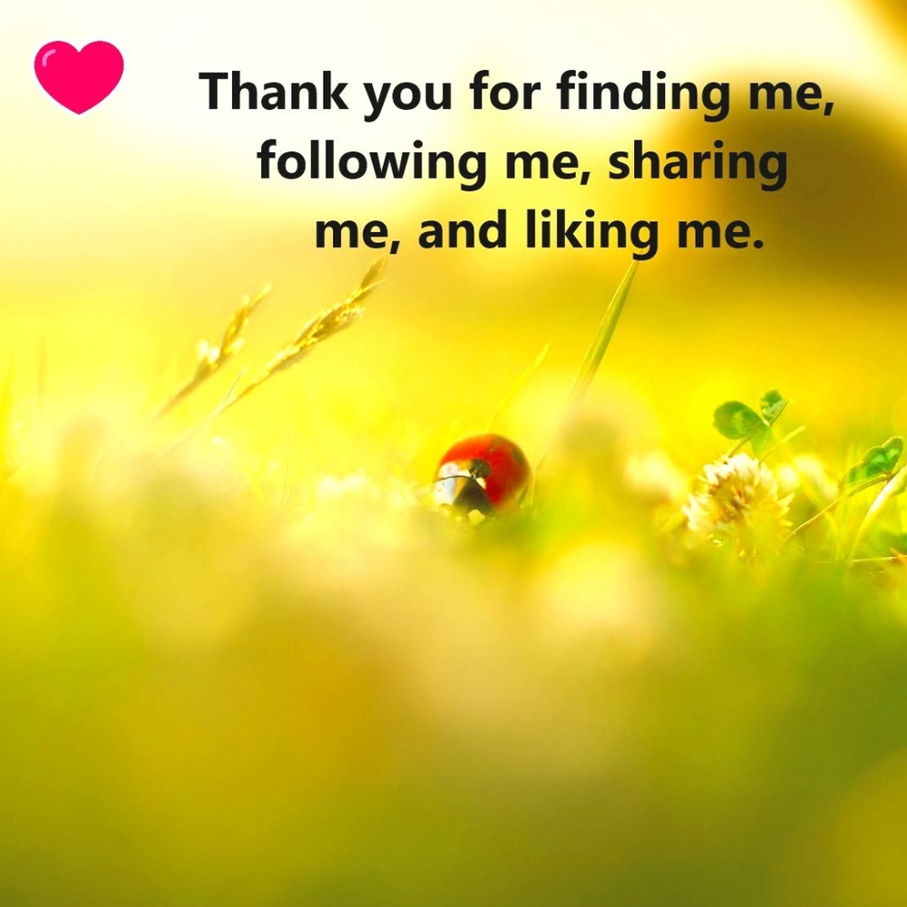 Thank you!